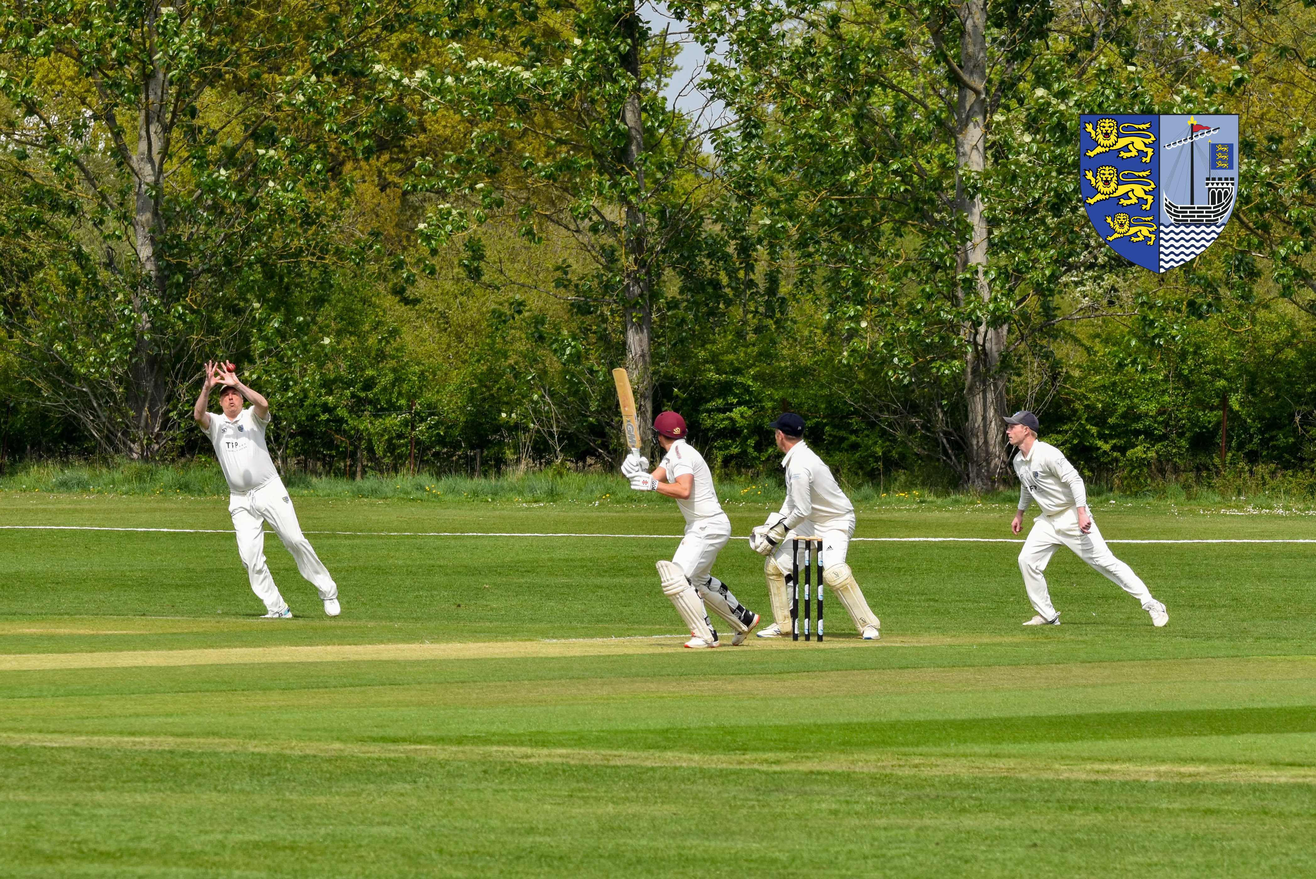Maldon Cricket Club Website & Social Media Management